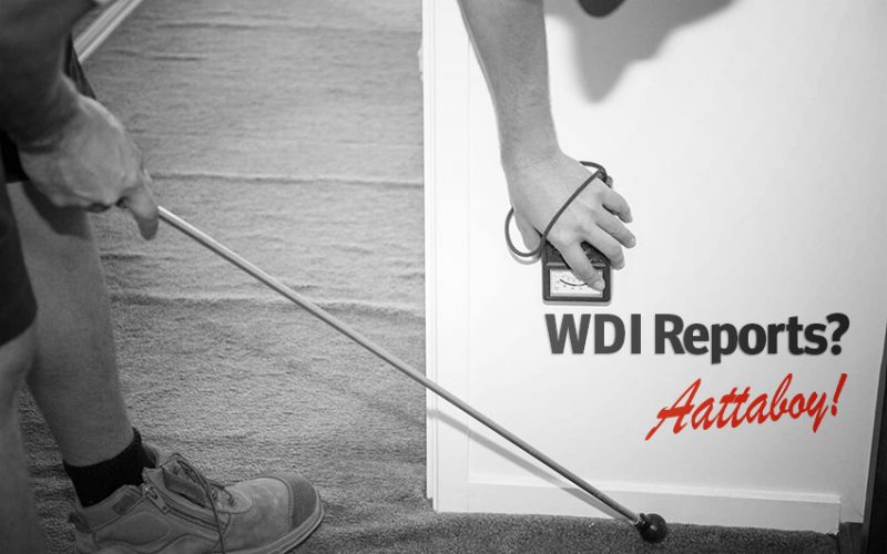 WDI Reports